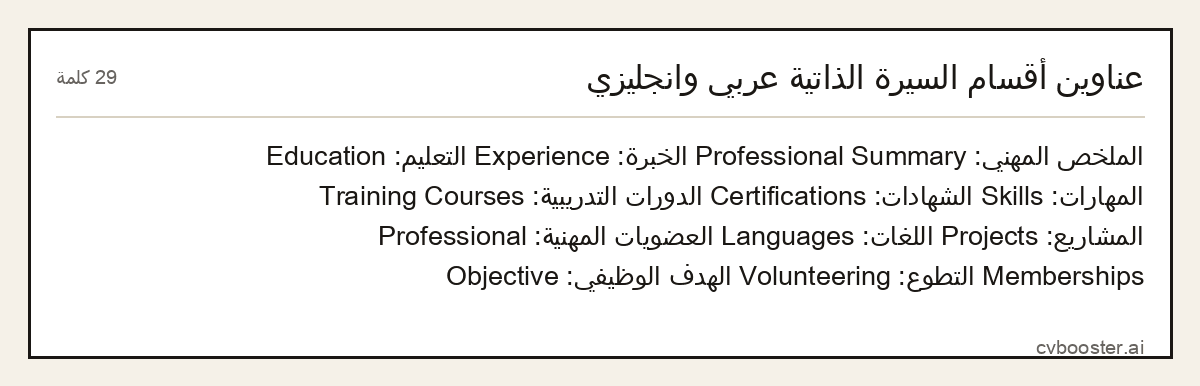 مثال كامل: عناوين أقسام السيرة الذاتية عربي وانجليزي, 29 كلمة