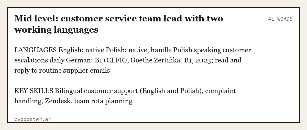 Complete Mid level: customer service team lead with two working languages example, 41 words, laid out as it would sit in the application form