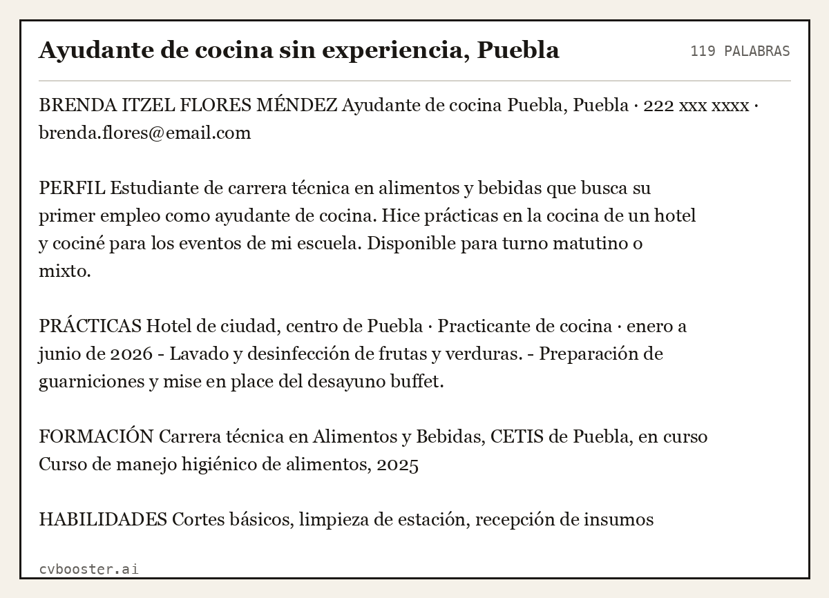 Ejemplo completo: Ayudante de cocina sin experiencia, Puebla, 119 palabras