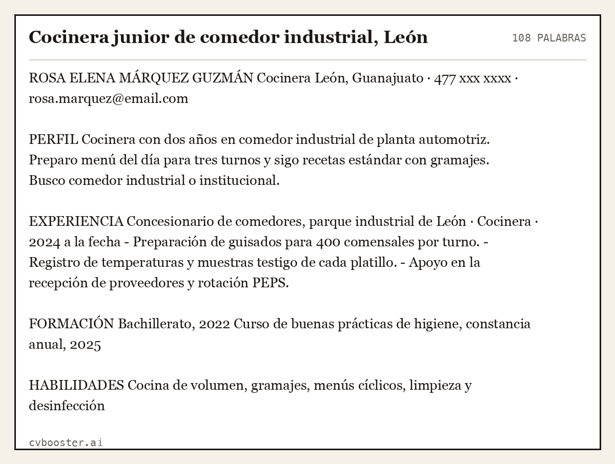 Ejemplo completo: Cocinera junior de comedor industrial, León, 108 palabras