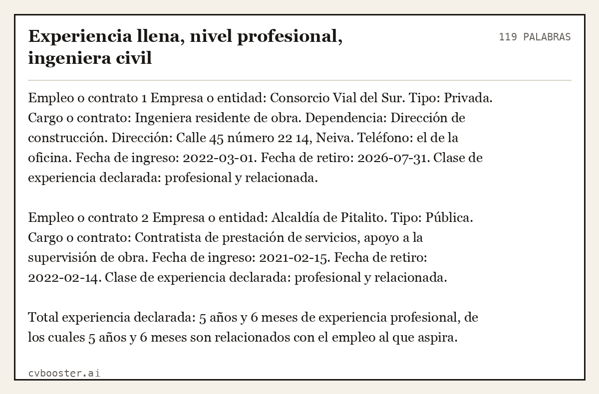 Ejemplo completo: Experiencia llena, nivel profesional, ingeniera civil, 119 palabras