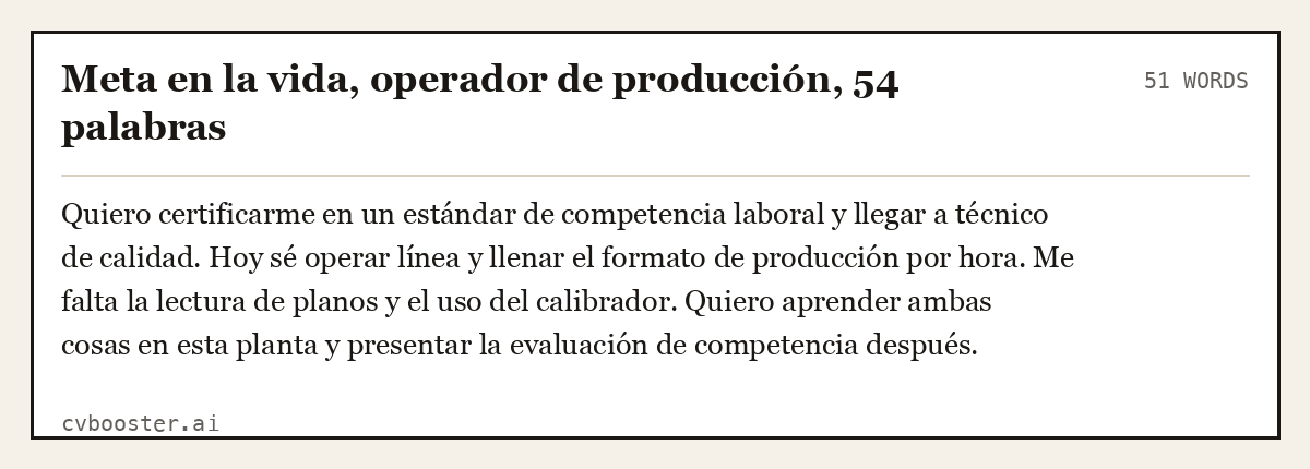 Ejemplo completo: Meta en la vida, operador de producción, 54 palabras, 51 palabras