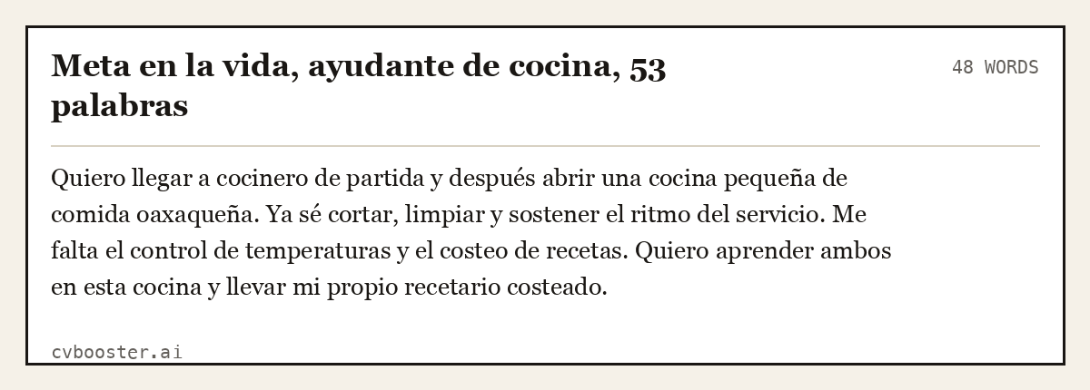 Ejemplo completo: Meta en la vida, ayudante de cocina, 53 palabras, 48 palabras