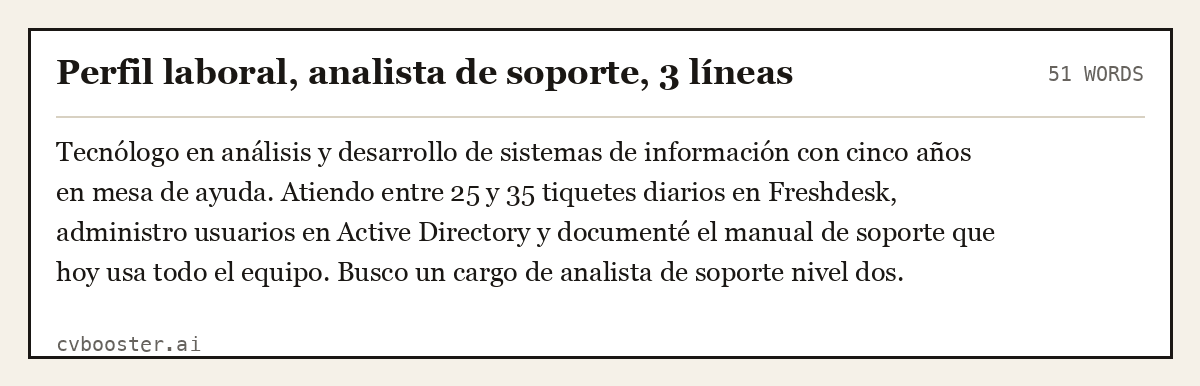 Ejemplo completo: Perfil laboral, analista de soporte, 3 líneas, 51 palabras