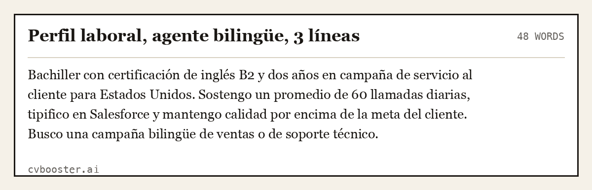 Ejemplo completo: Perfil laboral, agente bilingüe, 3 líneas, 48 palabras