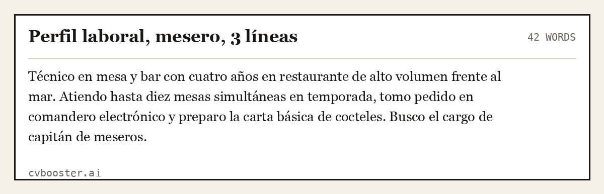 Ejemplo completo: Perfil laboral, mesero, 3 líneas, 42 palabras
