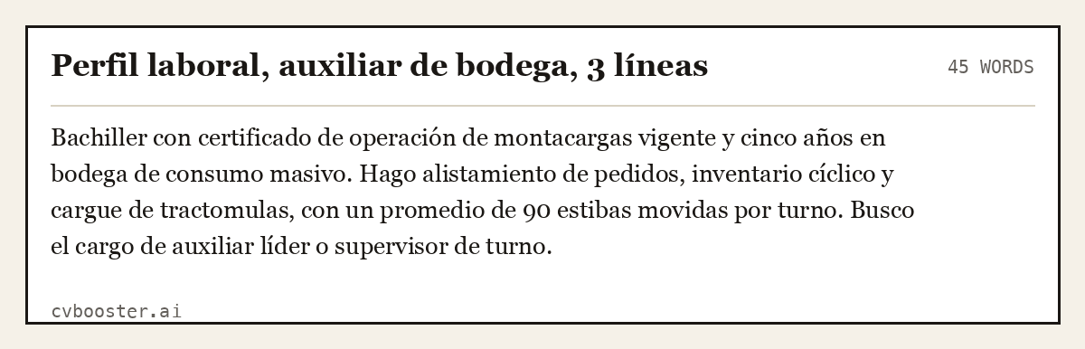 Ejemplo completo: Perfil laboral, auxiliar de bodega, 3 líneas, 45 palabras