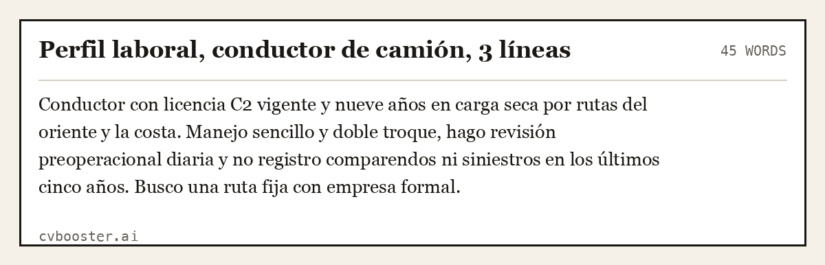 Ejemplo completo: Perfil laboral, conductor de camión, 3 líneas, 45 palabras