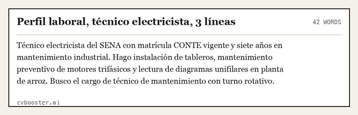 Ejemplo completo: Perfil laboral, técnico electricista, 3 líneas, 42 palabras