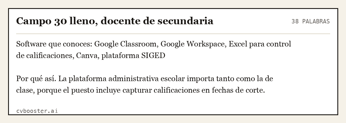 Ejemplo completo: Campo 30 lleno, docente de secundaria, 38 palabras