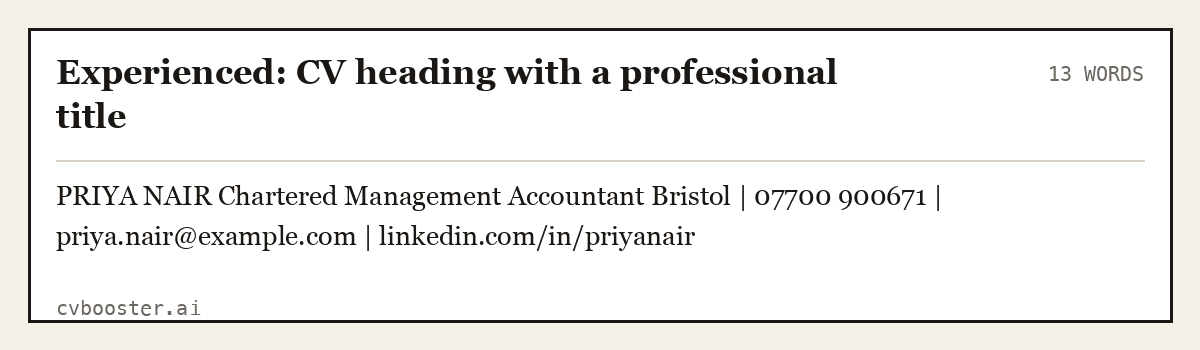 Complete Experienced: CV heading with a professional title example, 13 words, laid out as it would sit in the application form