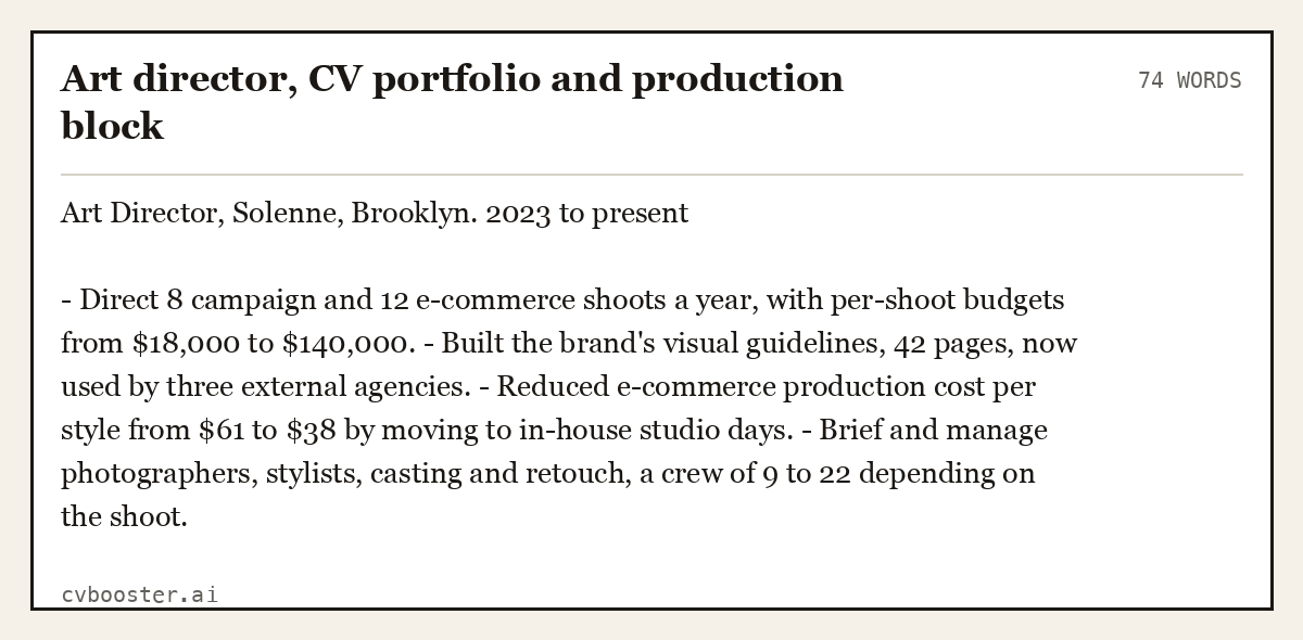 Complete Art director, CV portfolio and production block example, 74 words, laid out as it would sit in the application form