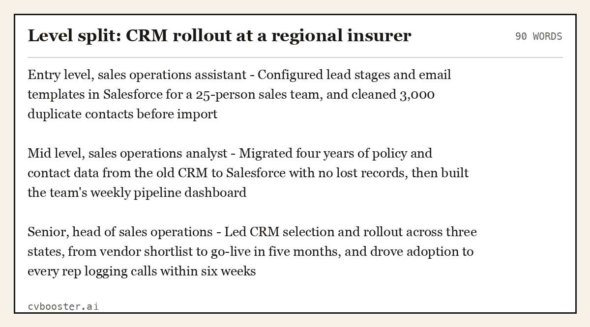 Complete Level split: CRM rollout at a regional insurer example, 90 words, laid out as it would sit in the application form