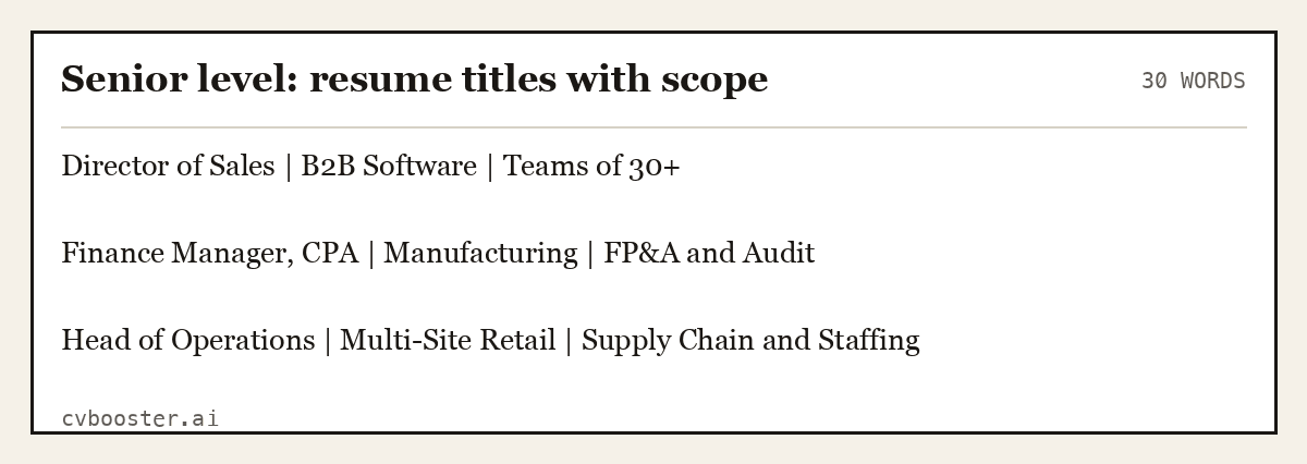 Complete Senior level: resume titles with scope example, 30 words, laid out as it would sit in the application form