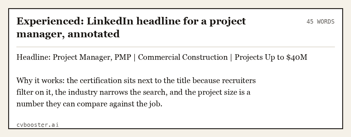 Experienced: LinkedIn headline for a project manager, annotated, complete example, 45 words