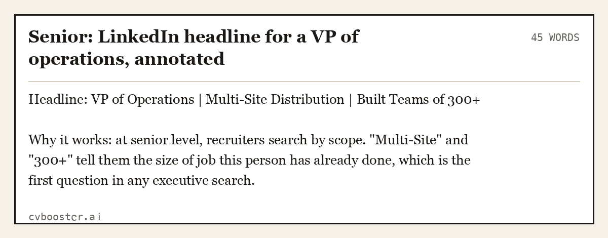 Senior: LinkedIn headline for a VP of operations, annotated, complete example, 45 words