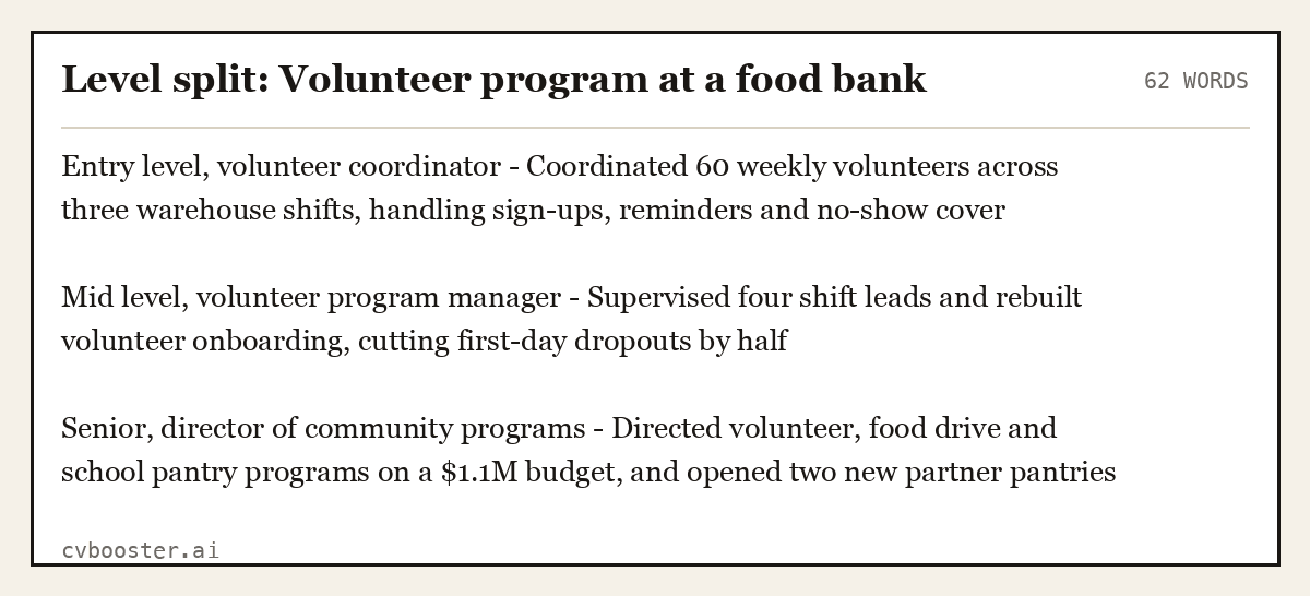 Complete Level split: Volunteer program at a food bank example, 62 words, laid out as it would sit in the application form