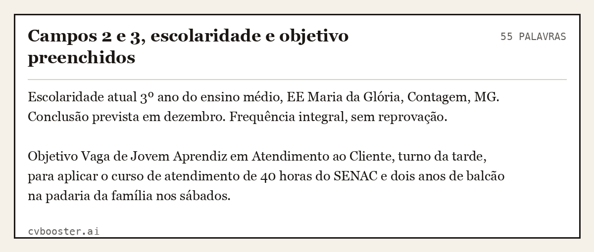 Exemplo completo: Campos 2 e 3, escolaridade e objetivo preenchidos, 55 palavras
