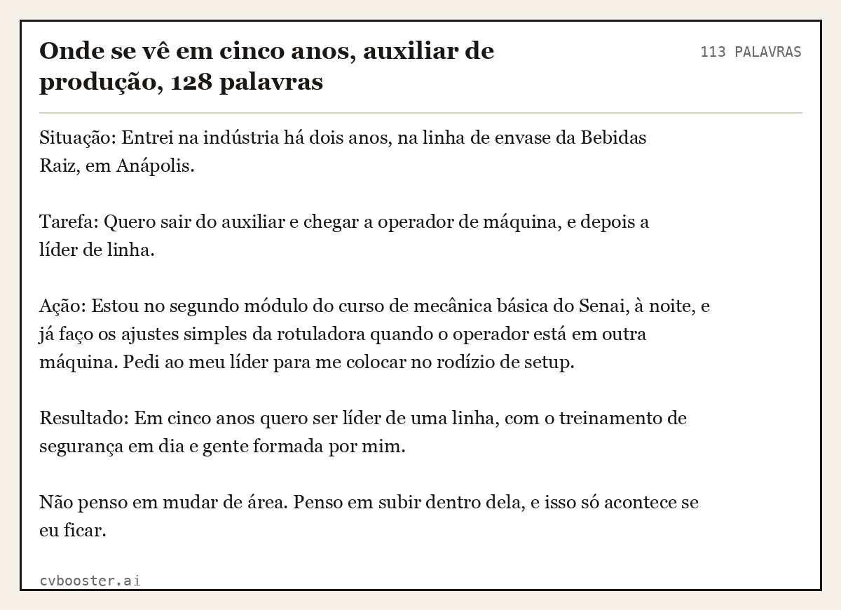 Exemplo completo: Onde se vê em cinco anos, auxiliar de produção, 128 palavras, 113 palavras