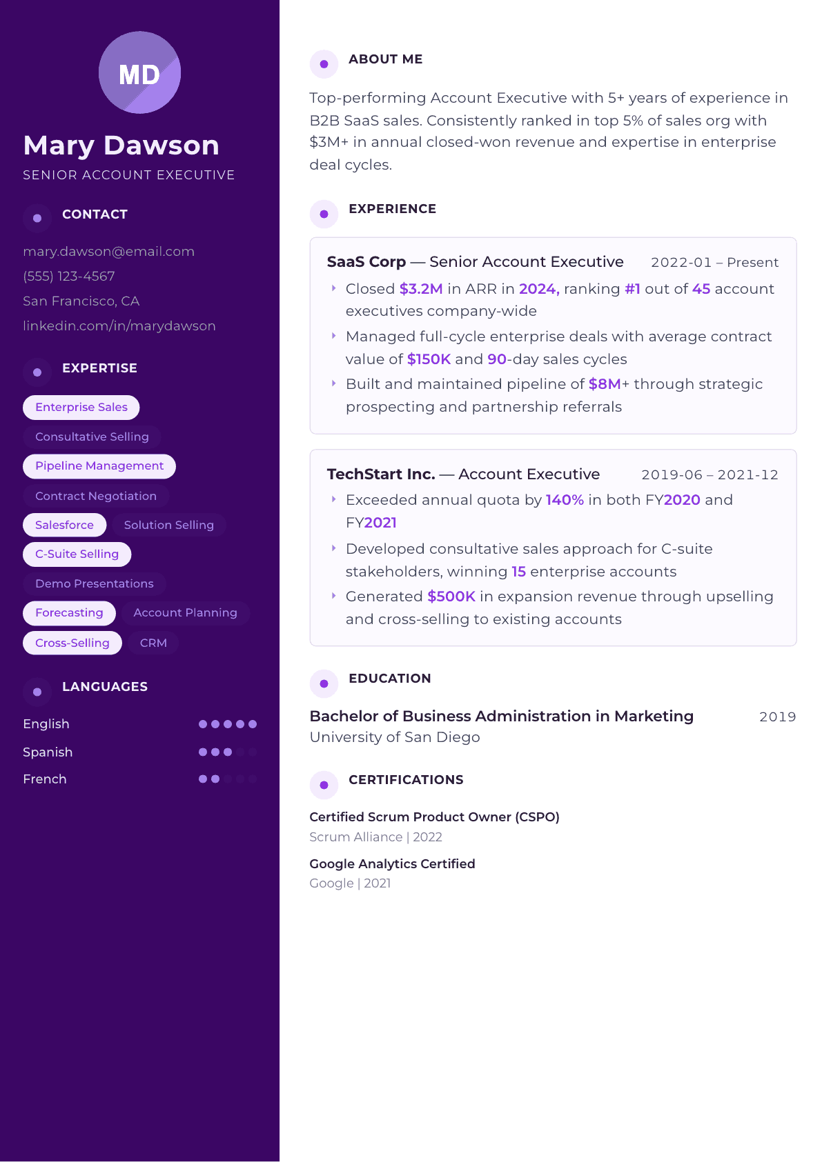 Account Executive resume example, Palette template