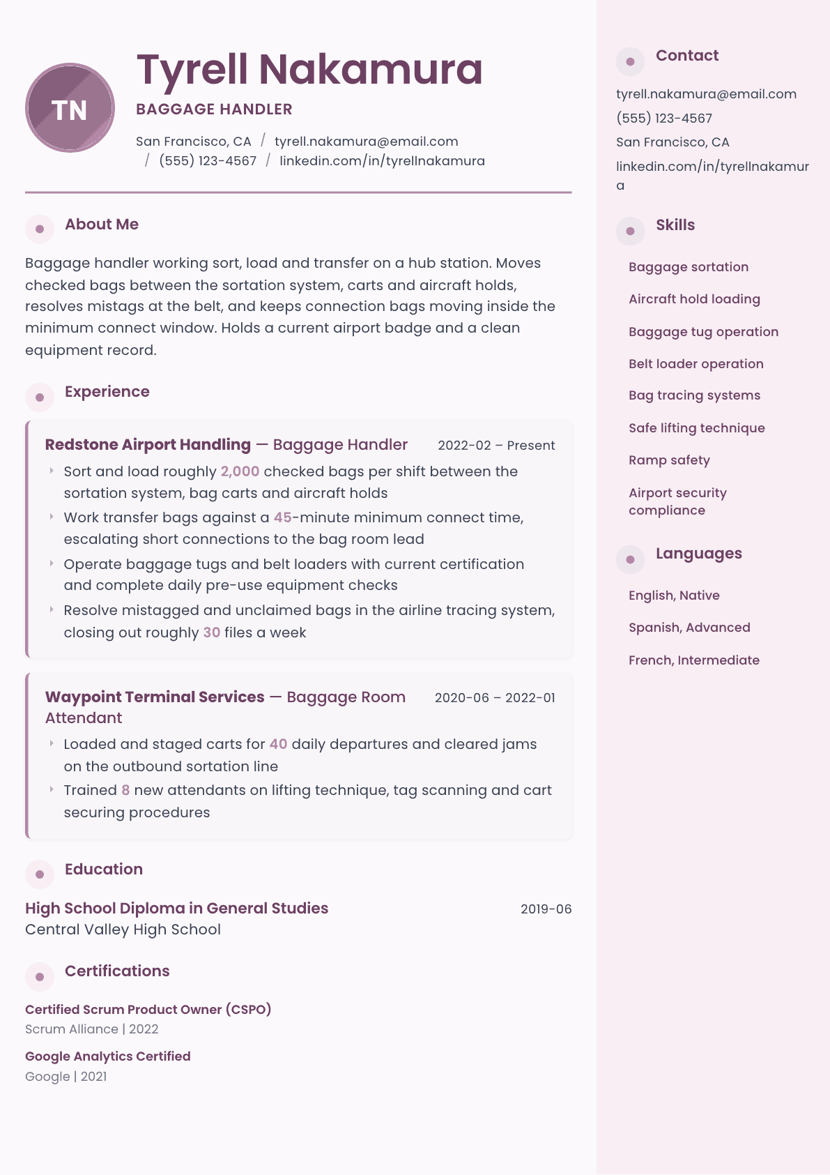 Baggage Handler resume example, Bloom template