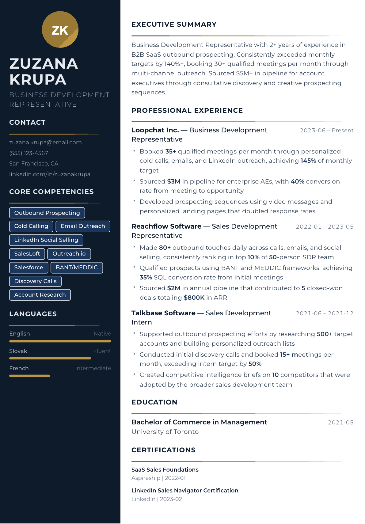 Business Development Representative resume example, Catalyst template