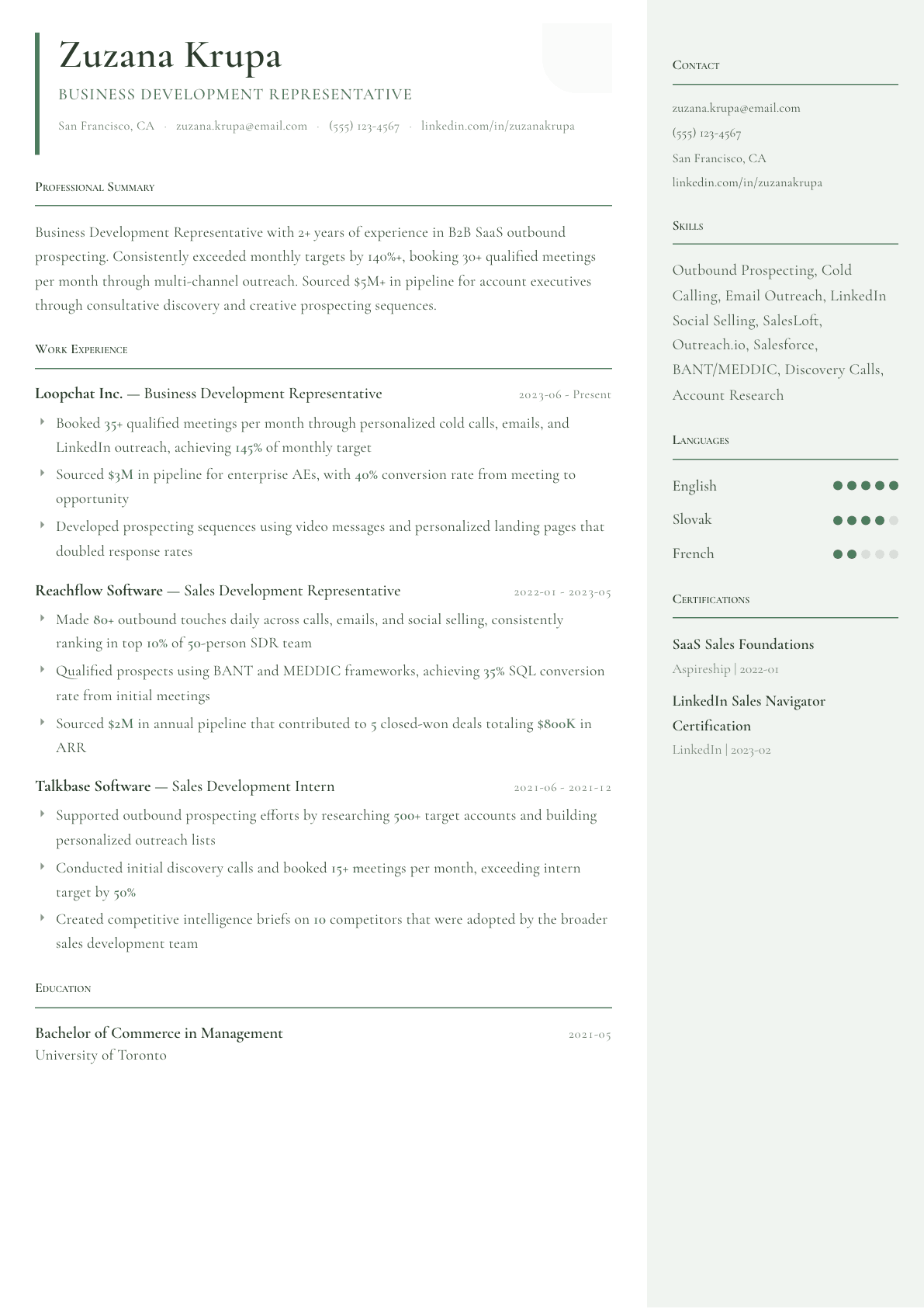 Business Development Representative resume example, Copenhagen template