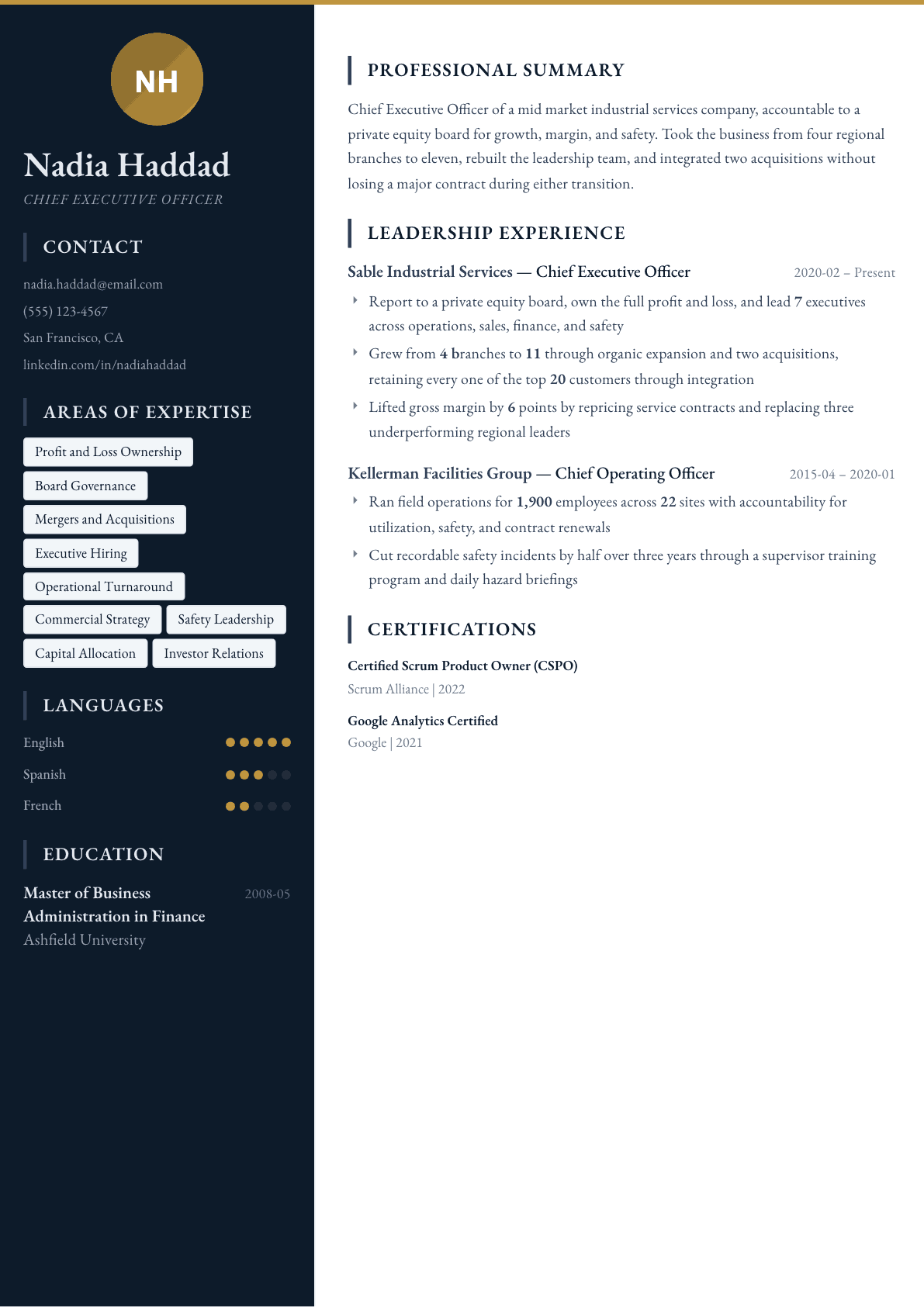 CEO resume example, Presidio template
