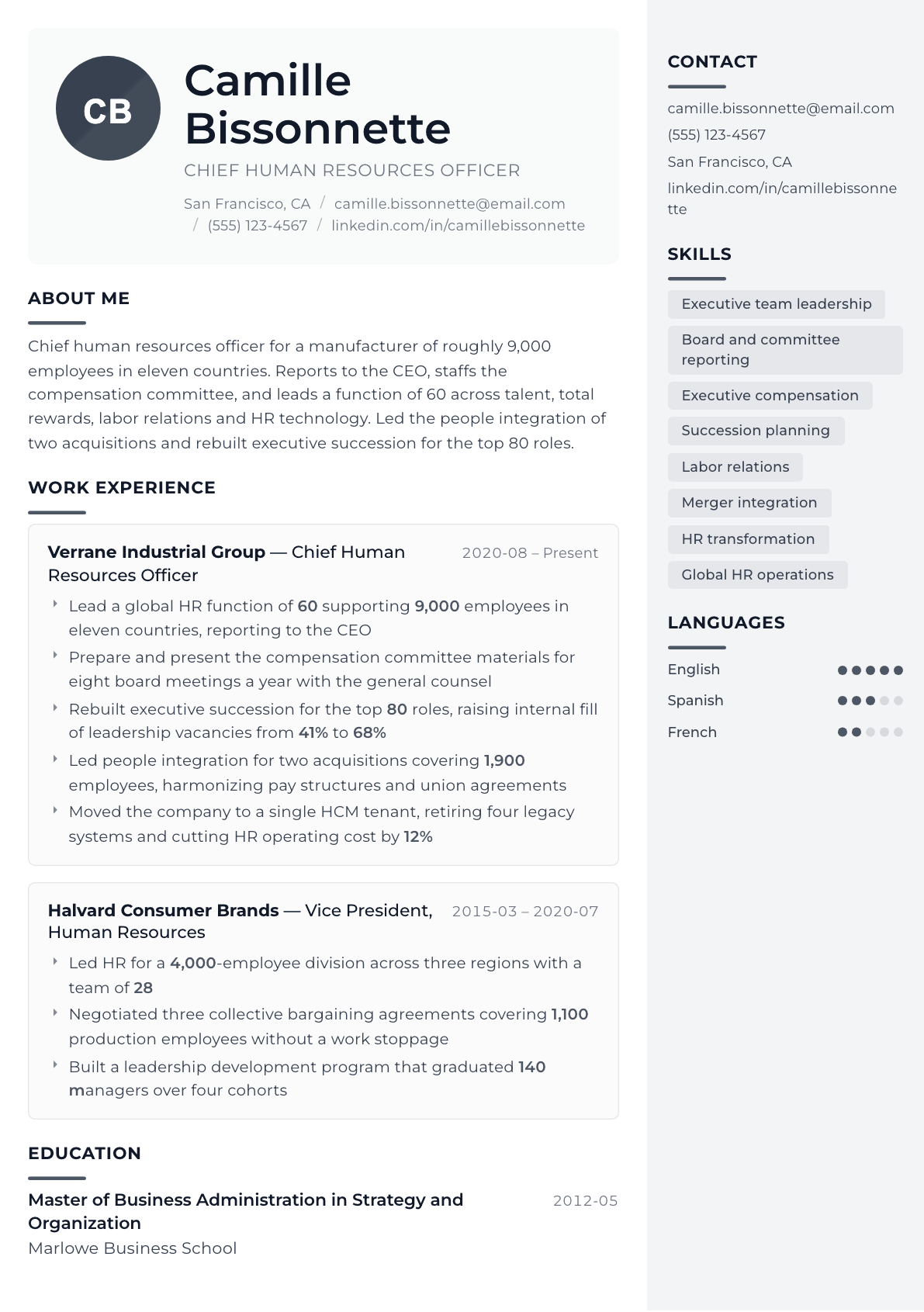 Chief Human Resources Officer resume example, Metropolitan template