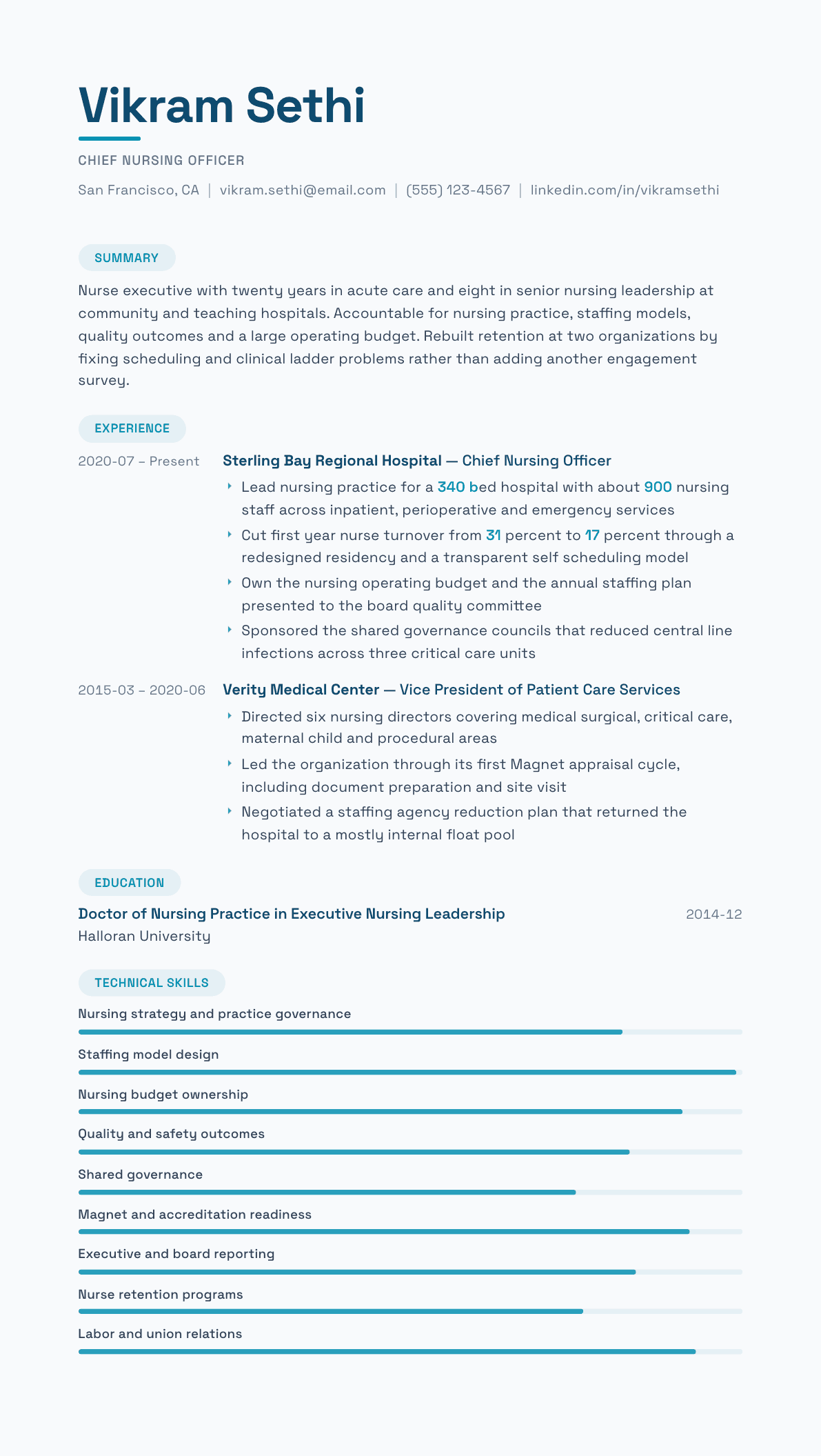 Chief Nursing Officer resume example, Horizon template