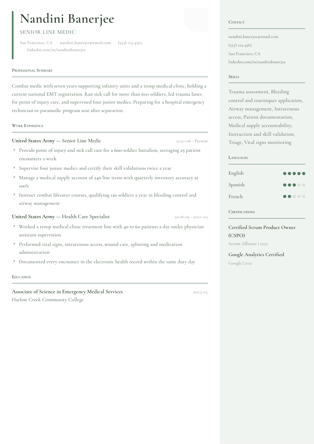 Combat Medic resume example, Copenhagen template
