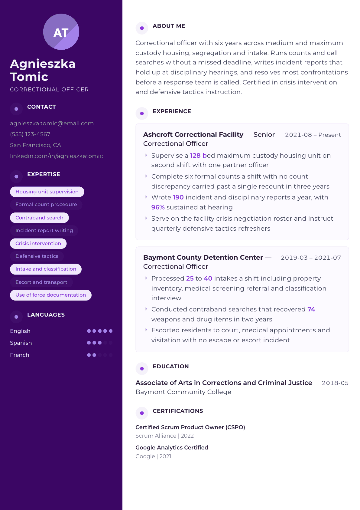 Correctional Officer resume example, Palette template