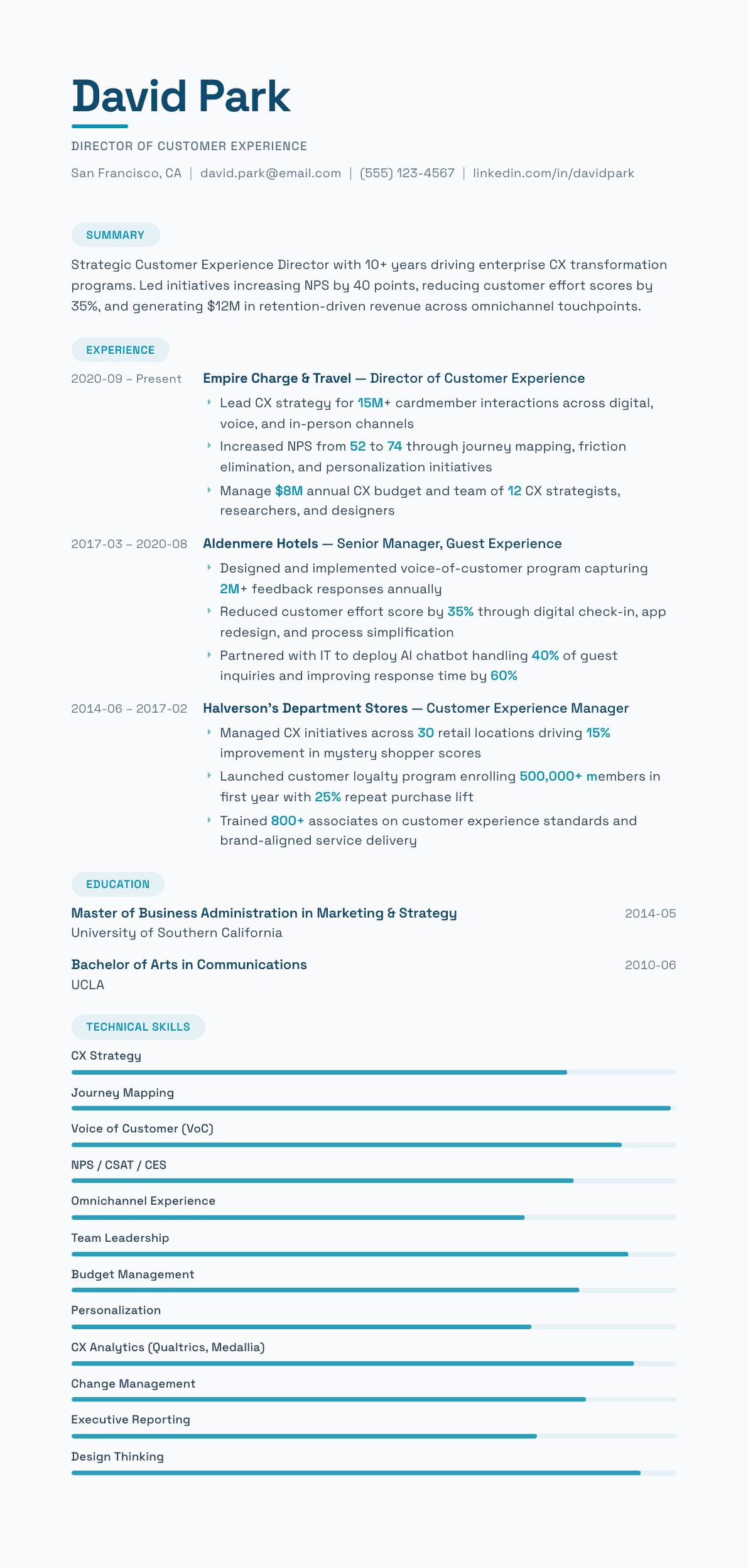 Customer Experience Director resume example, Horizon template