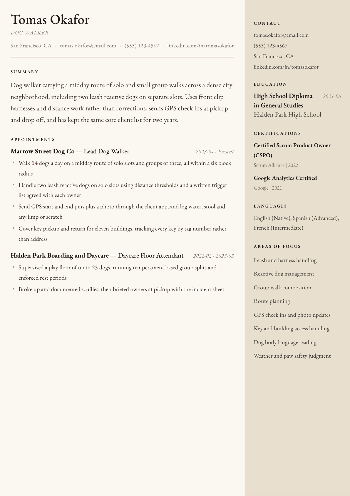 Dog Walker resume example, Manuscript template