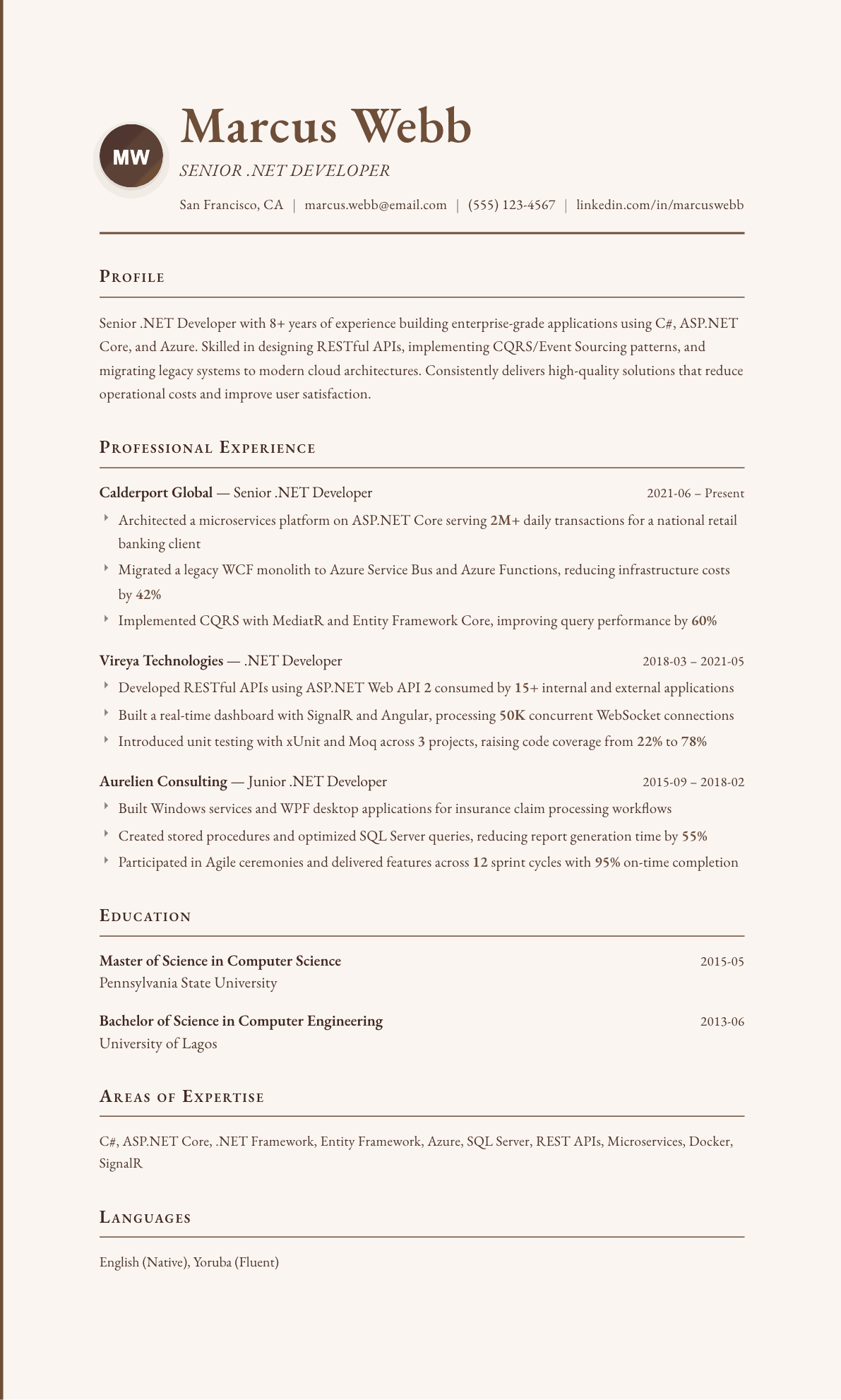 .NET Developer resume example, Vintage template