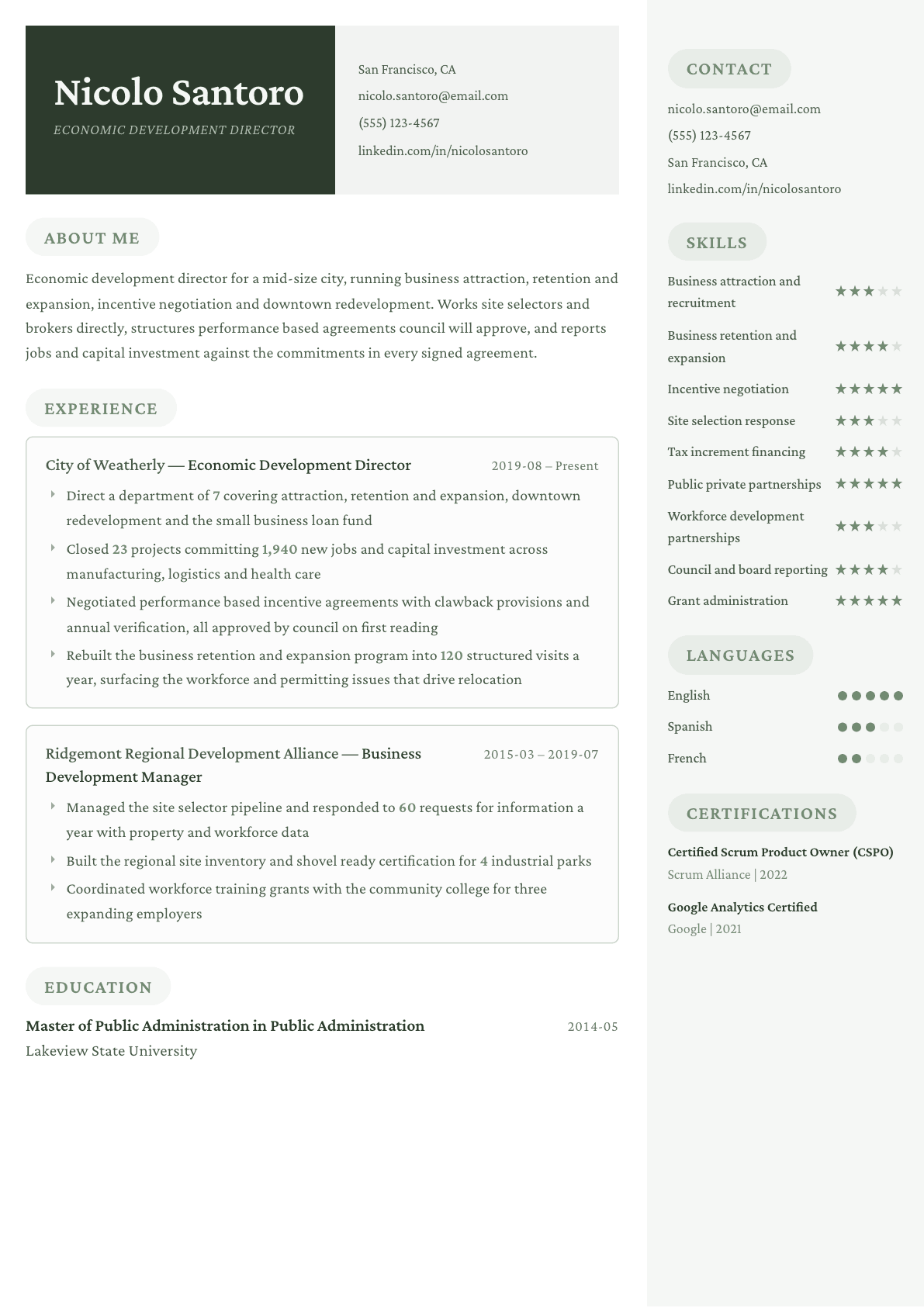 Economic Development Director resume example, Mayfair template