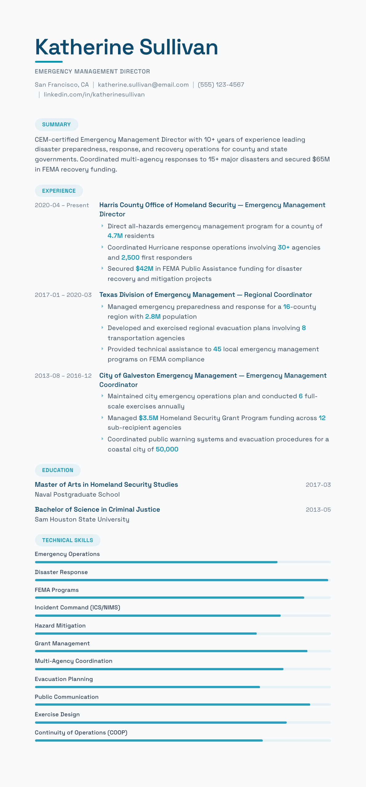 Emergency Management Director resume example, Horizon template