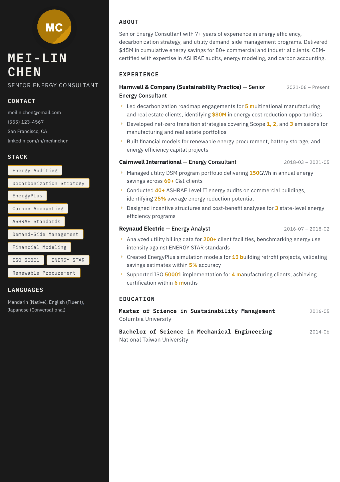 Energy Consultant resume example, Neon template