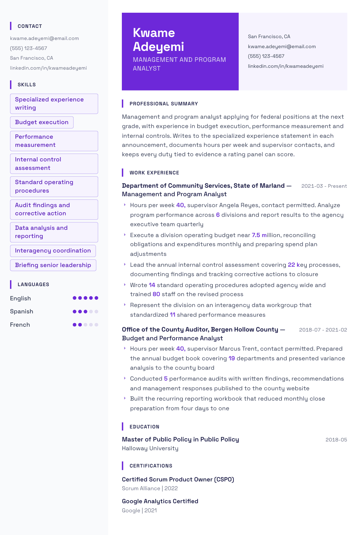 Federal Government resume example, Tokyo template