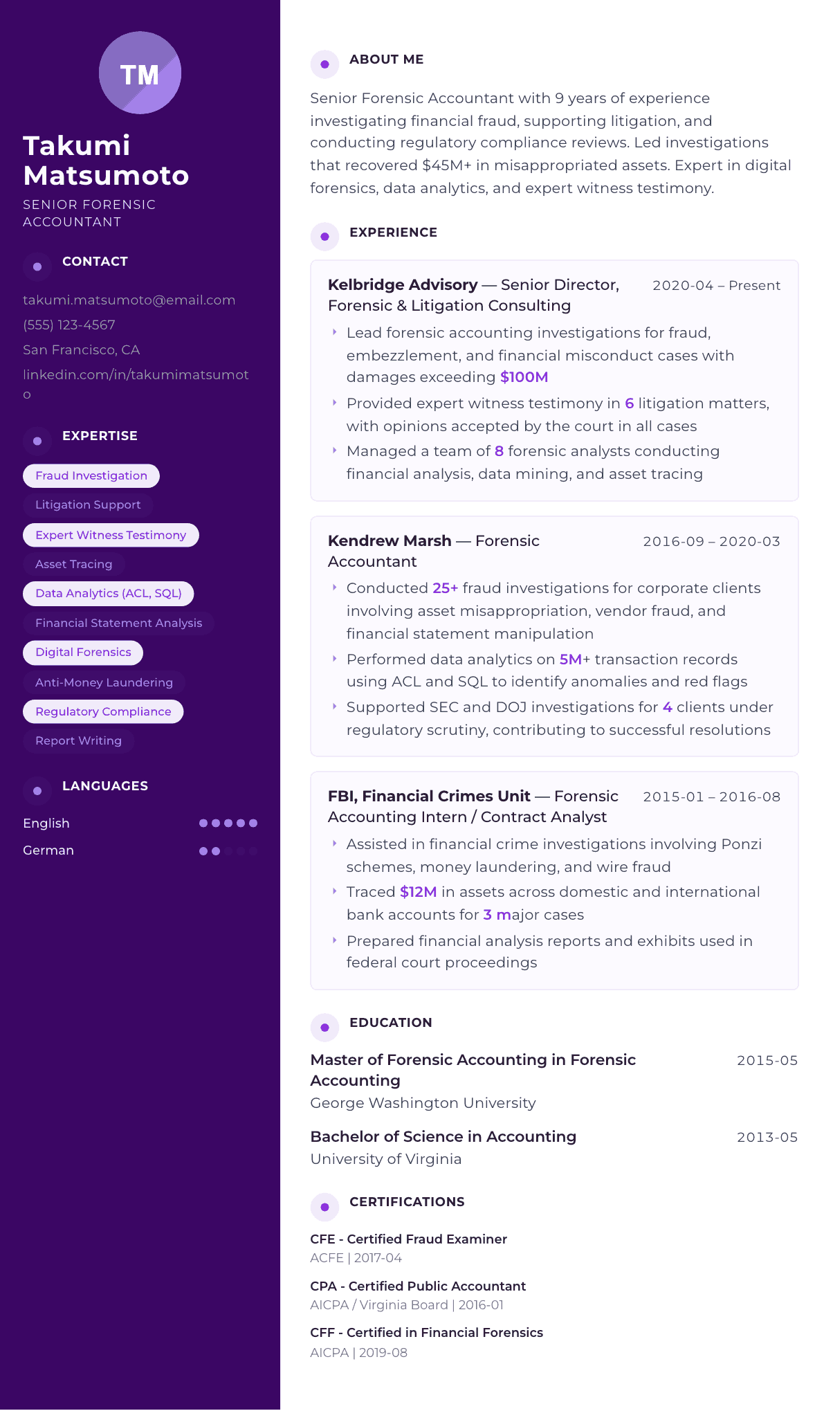 Forensic Accountant resume example, Palette template