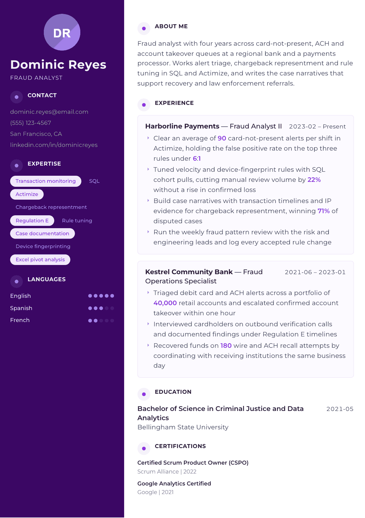 Fraud Analyst resume example, Palette template