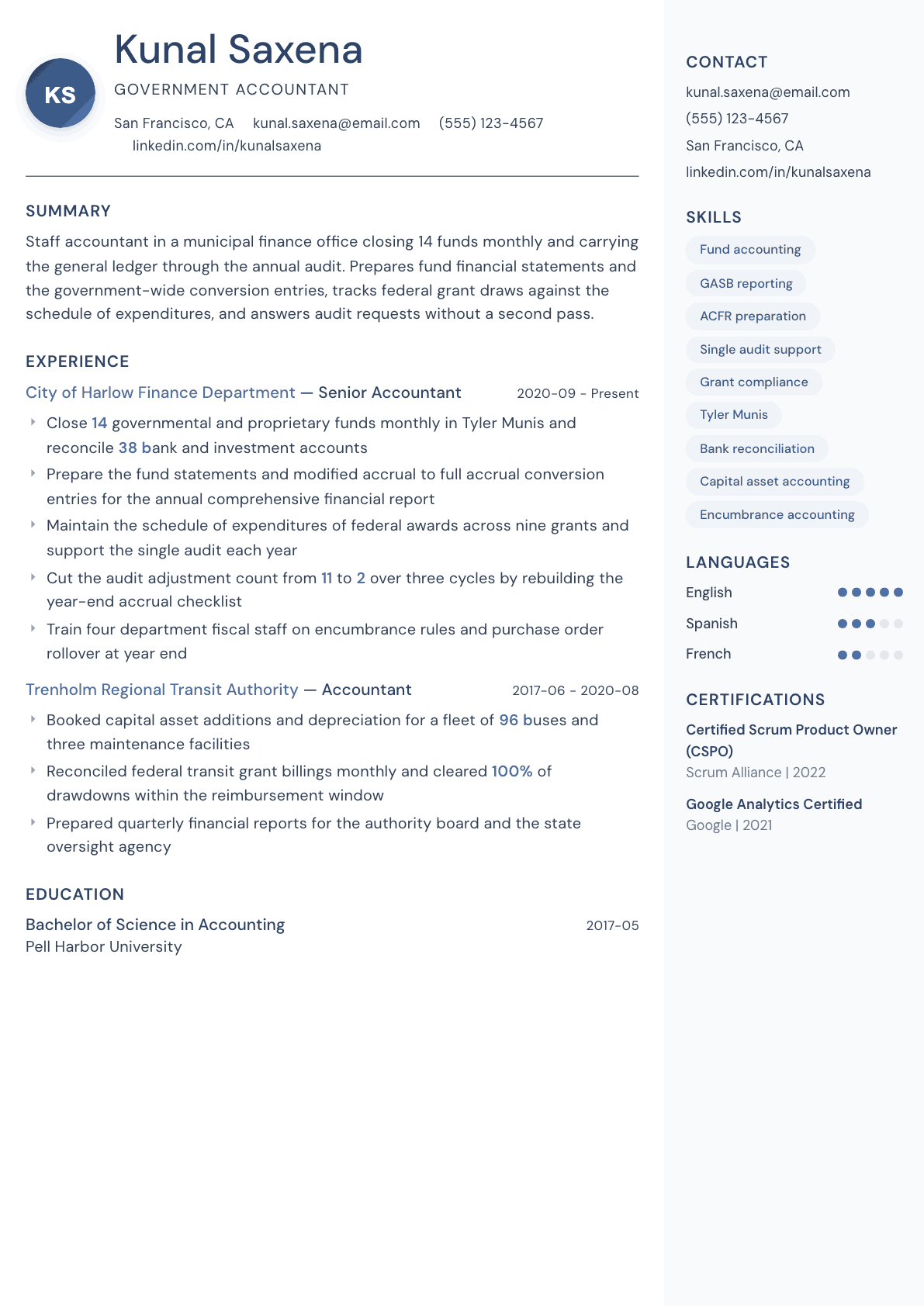 Government Accountant resume example, Kernel template