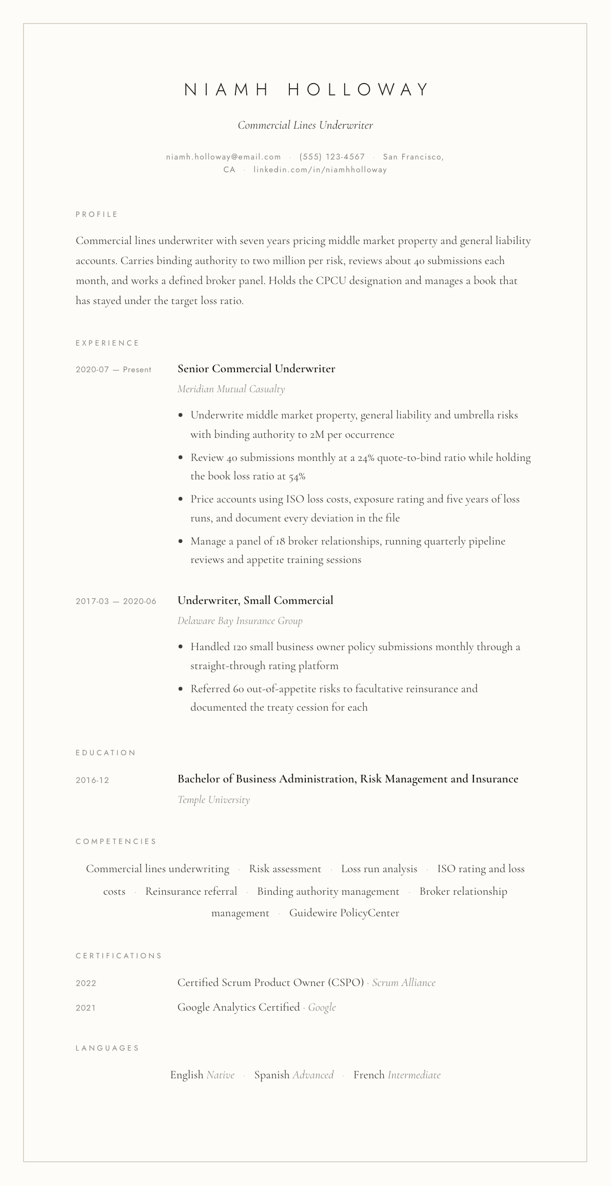 Insurance Underwriter resume example, Vellum template