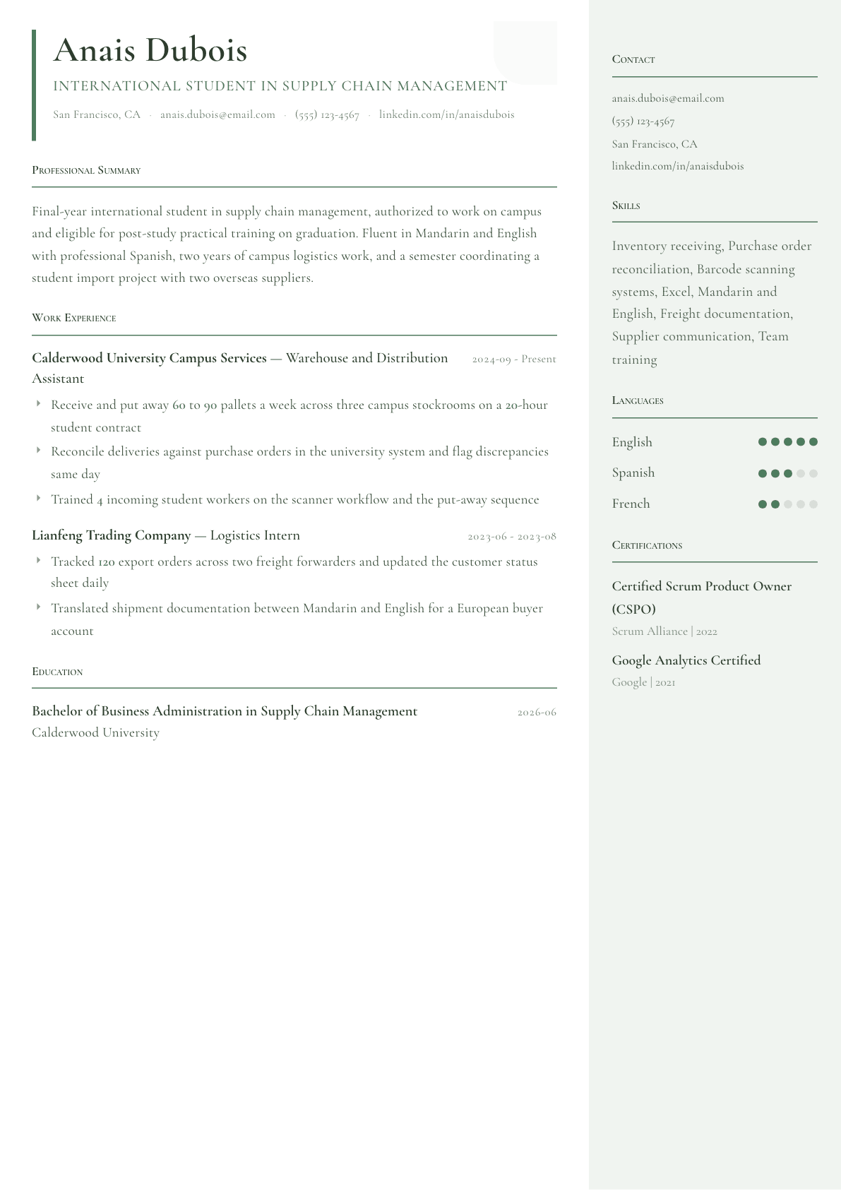 International Student resume example, Copenhagen template