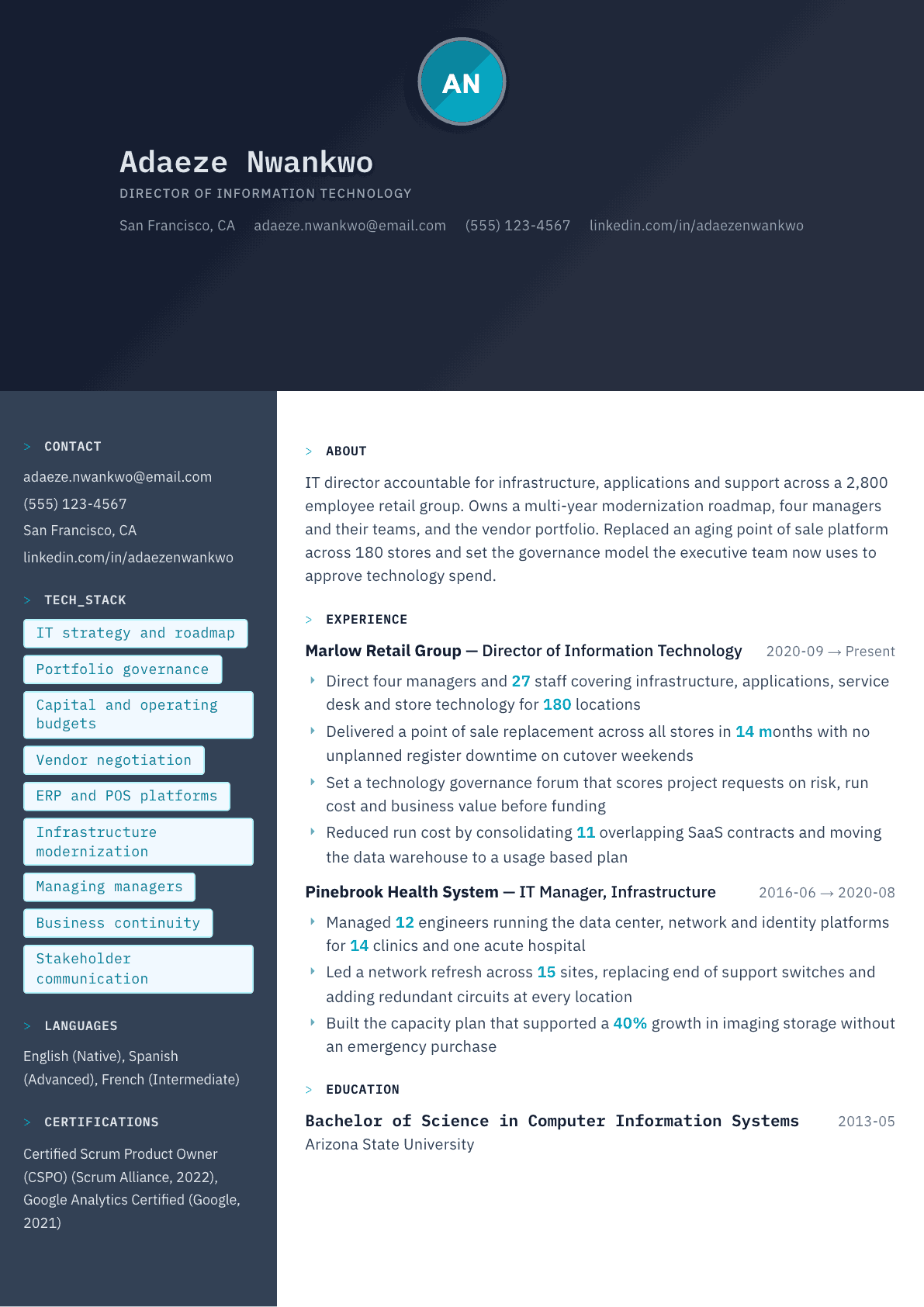 IT Director resume example, Code Terminal template