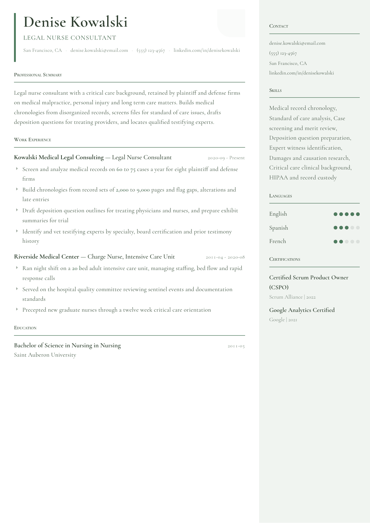 Legal Nurse Consultant resume example, Copenhagen template