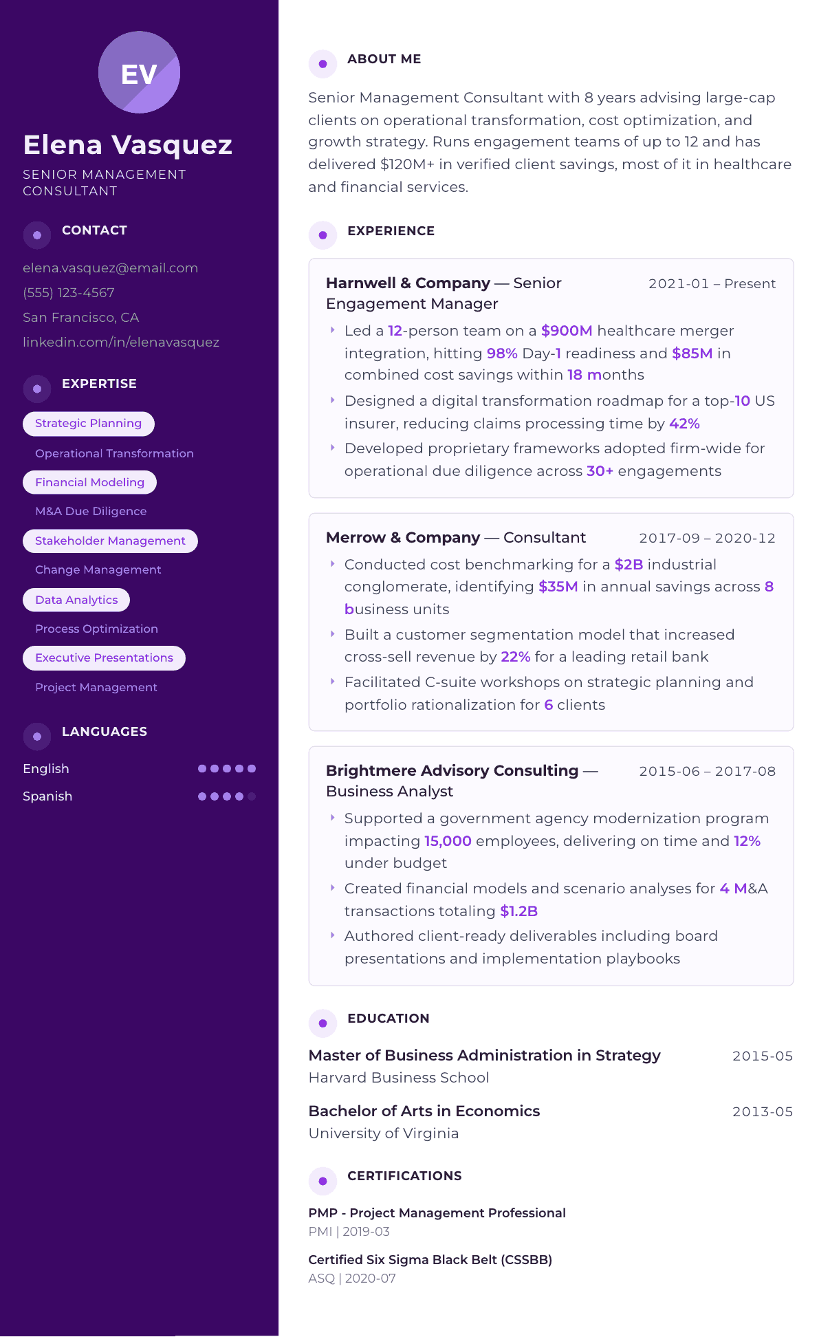 Management Consultant resume example, Palette template