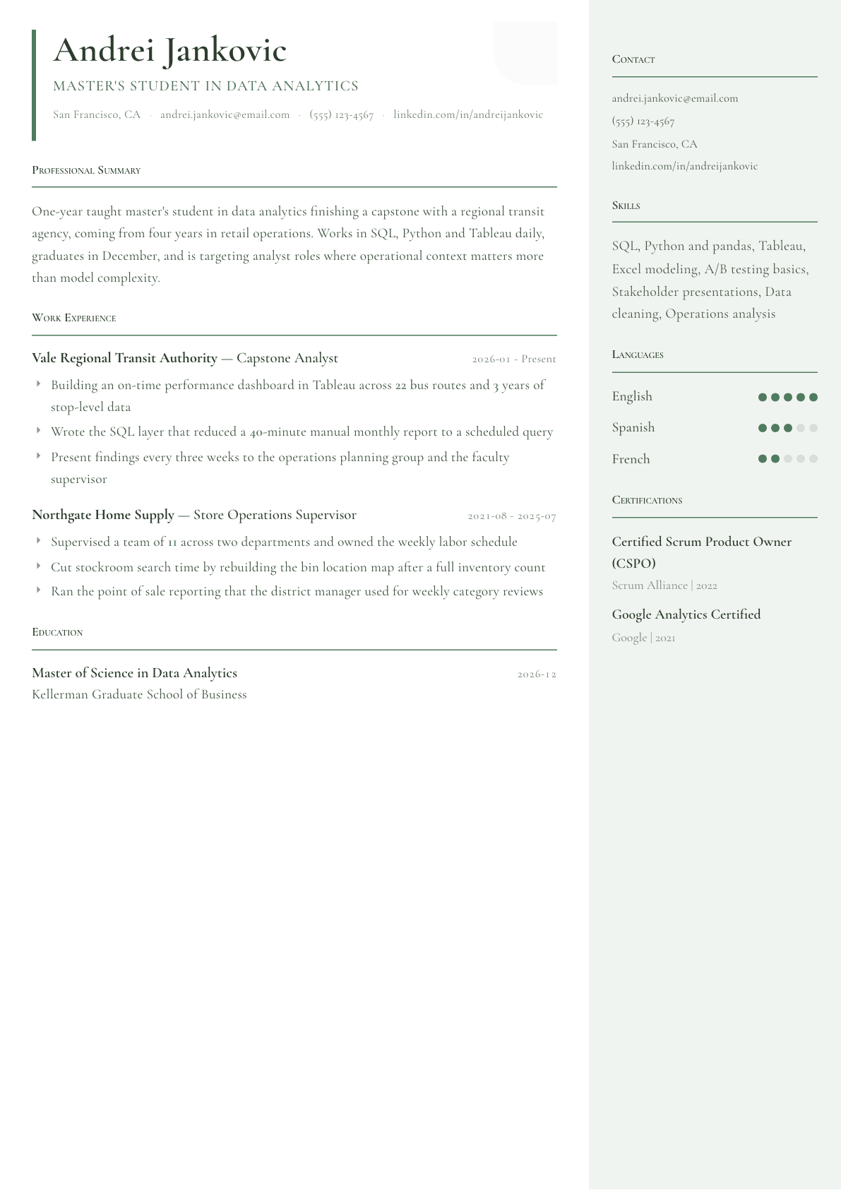 Master's Student resume example, Copenhagen template