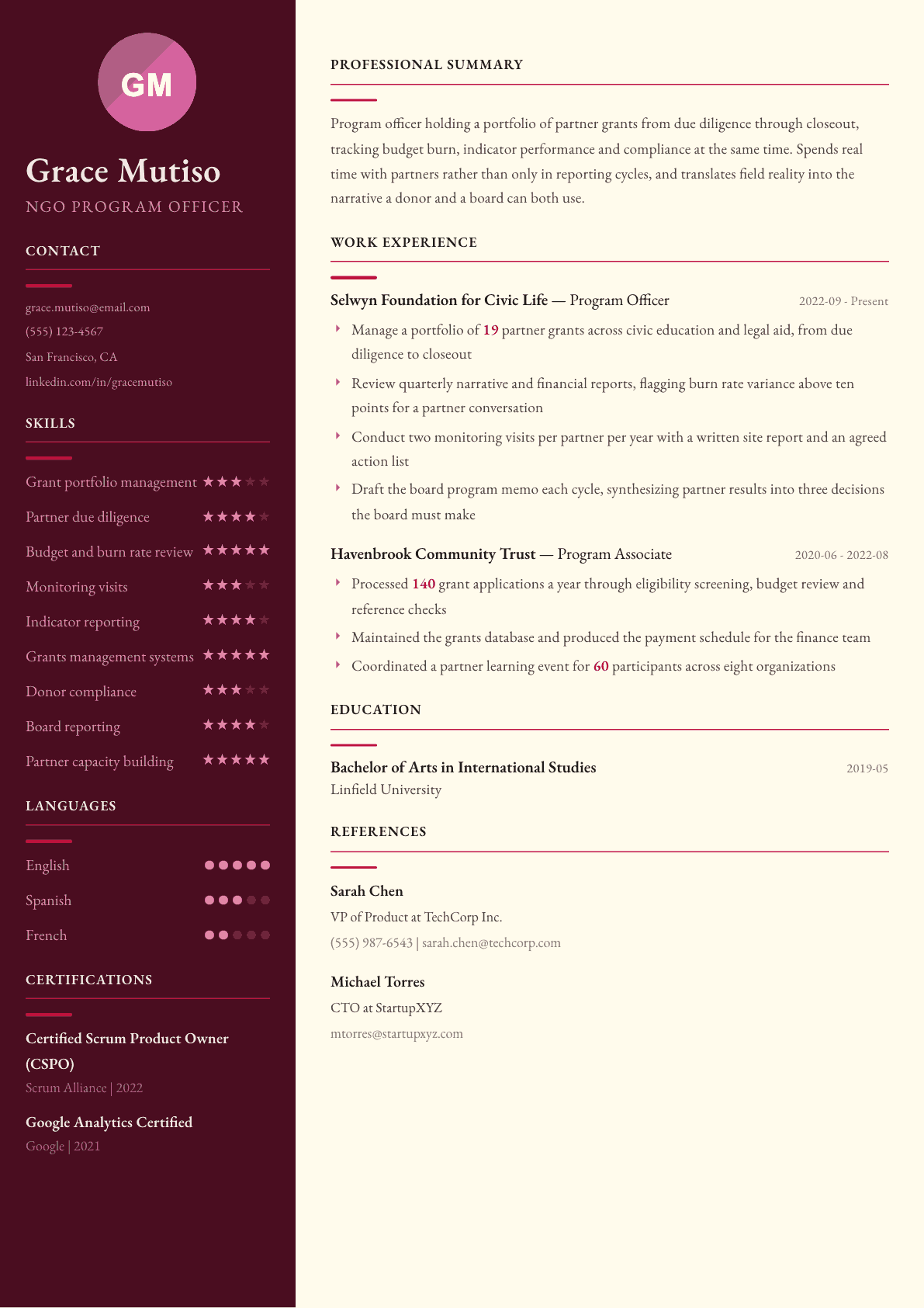 NGO Program Officer resume example, Dubai template