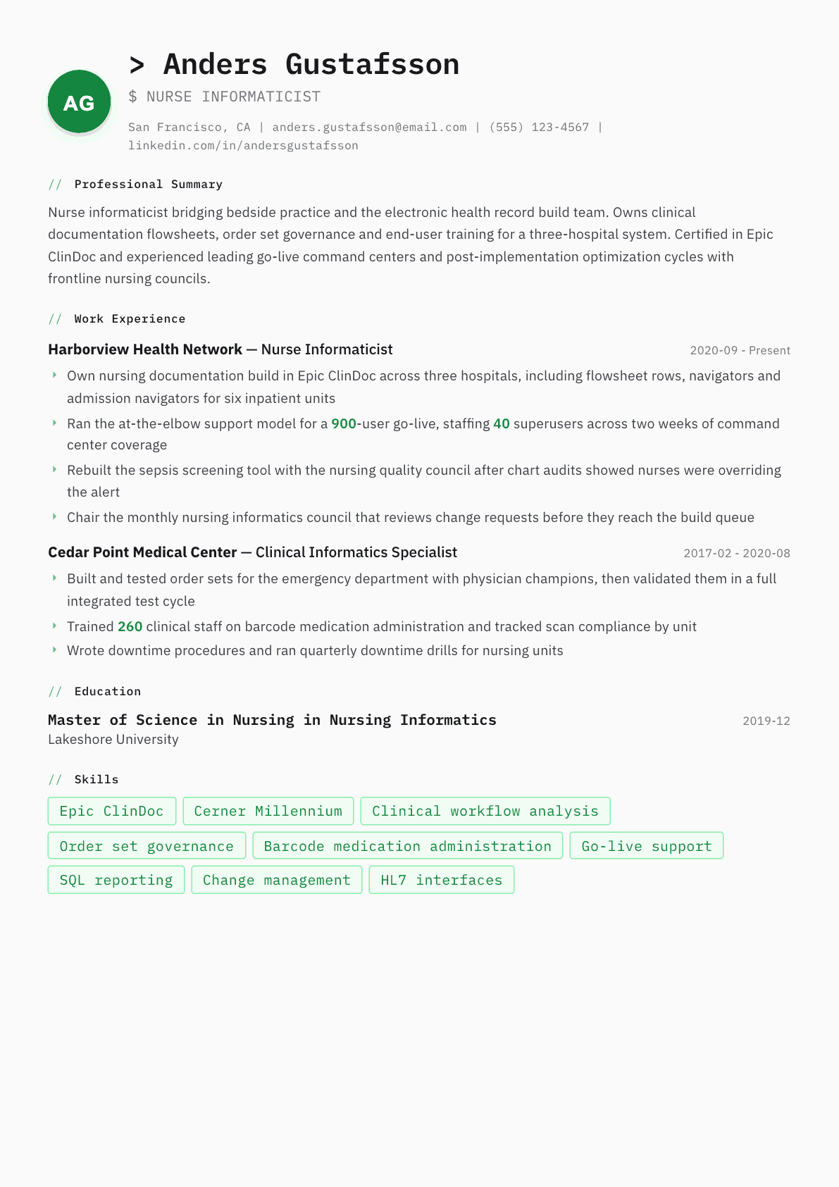 Nurse Informaticist resume example, Amsterdam template
